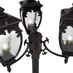 �������� ���������� Maytoni Fleur O414FL-03BZ