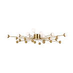 �������������������� Celebrity Freya FR5242CL-24BS