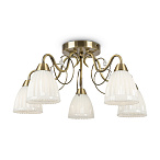 �������������������� Letizia Freya FR2757-PL-05-BZ