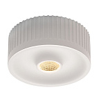 117381, OCCULDAS 13 DIRECT ���������� SLV ��������� � LED 12�� (16��), 3000�, 1200lm, �����