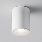 Потолочный светильник Maytoni Zoom GU10 1x50Вт IP 65 C029CL-01W Потолочный светильник Maytoni Zoom GU10 1x50Вт IP 65 C029CL-01W