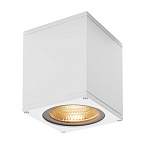 234521, BIG THEO LED WL  SLV  IP44  LED 17.5 (21), 3000K, 24, 2000lm, 