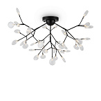 ���������� ���������� Freya FR5049CL-36B