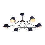 ������ Abigail Freya FR5038-CL-06-B