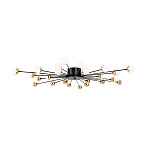 �������������������� Celebrity Freya FR5242CL-24B