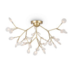 �������������������� Florencia Freya FR5049CL-36G