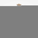 ��������� ���������� (������) Maytoni Puntes MOD043FL-08G