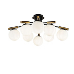�������������������� Paolina Freya FR5011CL-08B