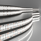 ������������ ����� ����� ������������ 12V 24W 240Led 2835 IP20 ������� �����, 5�