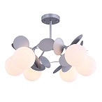 ������ Satellite Freya FR5165PL-06S