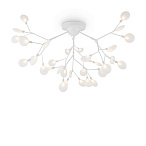 �������������������� Florencia Freya FR5049CL-36W1