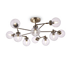 ������ Daisy Freya FR5041PL-10BS