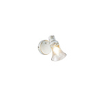 ���� Susana Freya FR7002WL-01WG